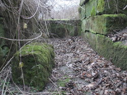 Ruine des Klosters